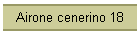 Airone cenerino 18