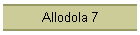 Allodola 7