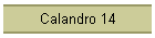Calandro 14