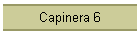 Capinera 6