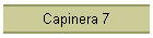 Capinera 7