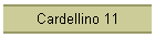 Cardellino 11