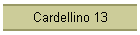 Cardellino 13