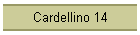 Cardellino 14