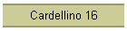 Cardellino 16