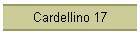 Cardellino 17