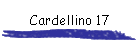Cardellino 17
