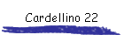 Cardellino 22