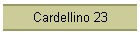 Cardellino 23
