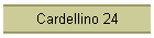 Cardellino 24