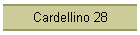 Cardellino 28