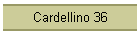 Cardellino 36