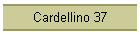 Cardellino 37