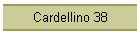Cardellino 38