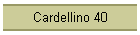 Cardellino 40