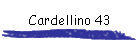 Cardellino 43