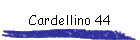 Cardellino 44