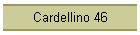 Cardellino 46