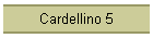 Cardellino 5