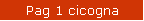 Pag 1 cicogna