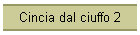 Cincia dal ciuffo 2