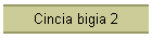Cincia bigia 2