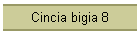 Cincia bigia 8