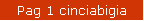 Pag 1 cinciabigia