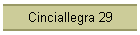 Cinciallegra 29