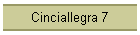 Cinciallegra 7