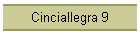 Cinciallegra 9