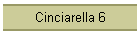 Cinciarella 6