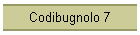 Codibugnolo 7
