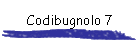 Codibugnolo 7