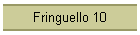 Fringuello 10
