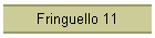Fringuello 11