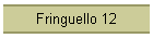 Fringuello 12