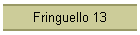 Fringuello 13