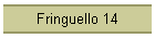 Fringuello 14