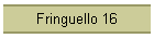 Fringuello 16