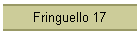 Fringuello 17