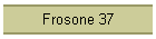 Frosone 37