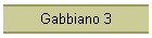 Gabbiano 3