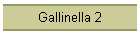 Gallinella 2