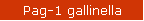 Pag-1 gallinella