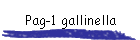 Pag-1 gallinella