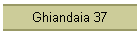 Ghiandaia 37