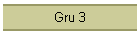 Gru 3