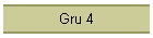 Gru 4