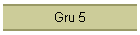 Gru 5